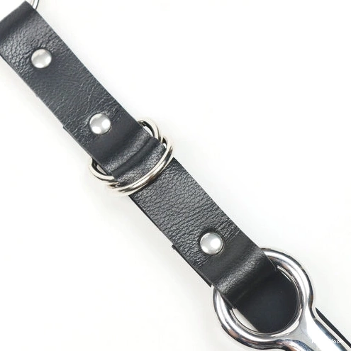 Hook EverydayUse Kinky 5853 Collar and Leash with Anal 0328